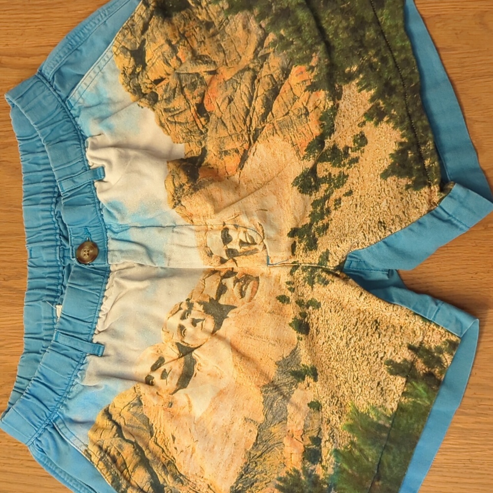 Limited edition chubbies Mount Rushmore